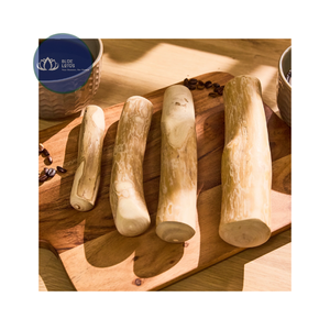 BEST SELLER Bâton à mâcher pour chien en bois de café de qualité supérieure, sûr et sans éclats, bâton dentaire pour chiens - Product Image 1