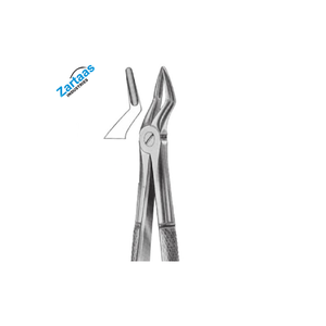 Pince d'extraction dentaire en acier inoxydable de haute qualité Fig 35 pour le fabricant d'instruments dentaires de racines supérieures - Product Image 5