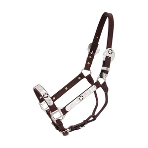 Cuello Halter de nailon acolchado con estampado de caballo, personalizado - Product Image 4
