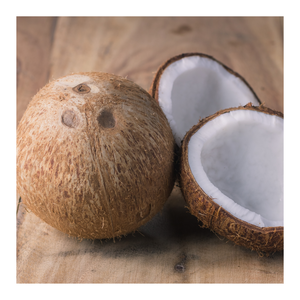 Suministro de exportación mayorista de coco maduro Premium de Vietnam disponible para distribuidores, importadores y empresas comerciales internacionales - Product Image 6