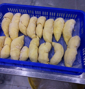 Durian Congelado IQF de Origen Vietnam, Hecho con Pulpa de Durian Procesada Cuidadosamente para Postres Comerciales, Repostería y Operaciones de Catering - Product Image 5