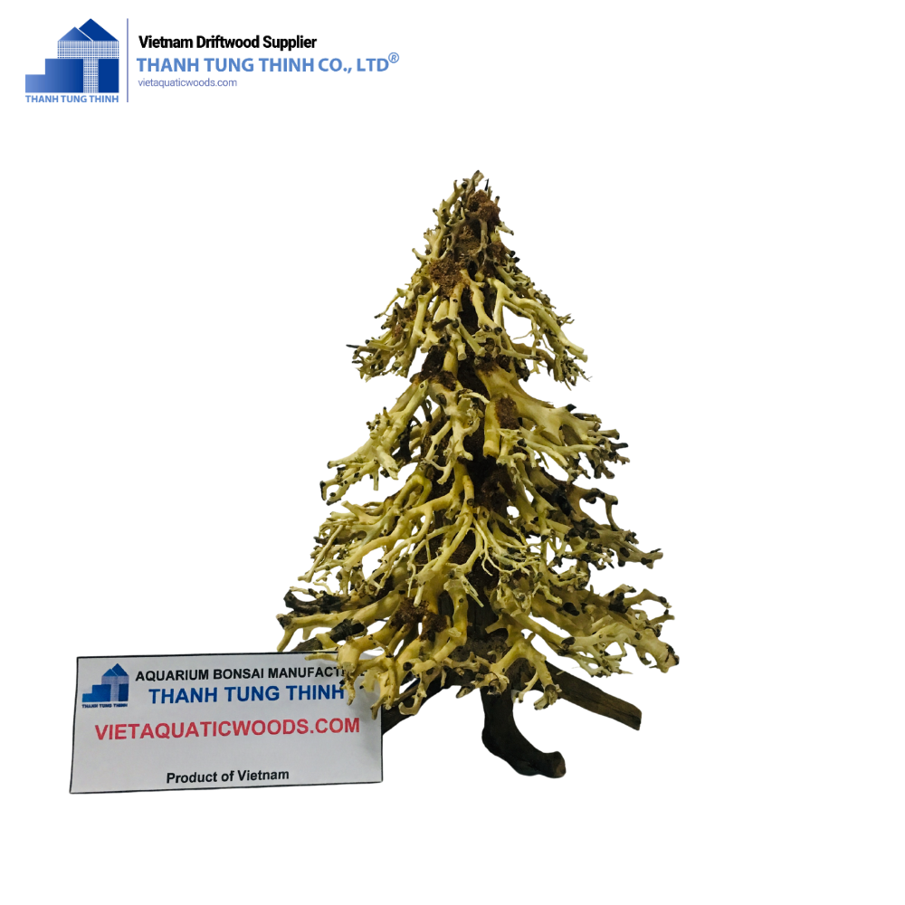 ธรรมชาติ