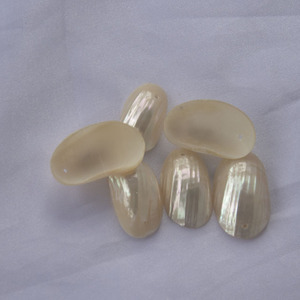 Turbo Gran Corte perlado Seashell incrustaciones artesanales Indonesia pulido crudo técnica Animal estilo para incrustaciones de joyería - Product Image 4
