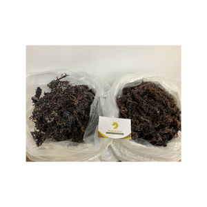 สาหร่าย Eucheuma cottonii แห้งจากเวียดนามมีปริมาณสารอาหารสูงเหมาะสำหรับการสกัดคาราจีแนน - Product Image 4