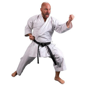 Ventes chaudes d'usine Uniformes de karaté sur mesure Meilleurs vêtements d'arts martiaux d'entraînement Personnalisés Robustes 100% coton Séchage rapide - Product Image 1