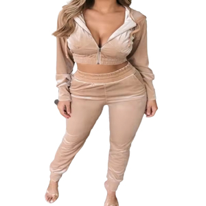 Chándal deportivo para correr de invierno 2025 para mujer, chándal Sexy de terciopelo con cremallera y capucha, chándal con patrón sólido bordado - Product Image 2