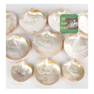 จานเปลือกหอยมุกธรรมชาติทำมือสำหรับตกแต่งร้านอาหารและโรงแรม - Product Image 3