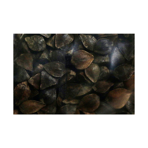 Graines de sarrasin décortiquées séchées en vrac pour la vente en gros - Product Image 5