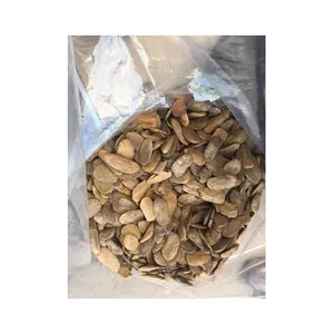 Bulk Wholesale Pure Picralima Nitida Powder Akuamma Seed Extract Other Agriculture Products