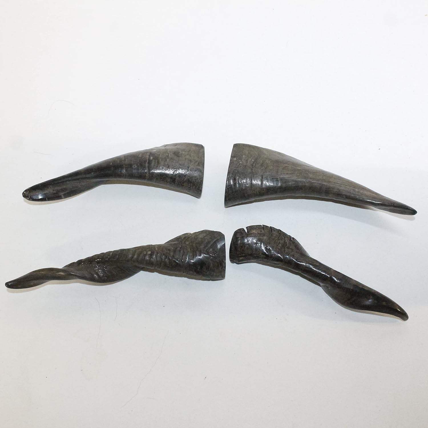 ธรรมชาติ