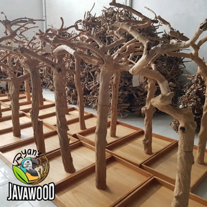 Best Selling <b>Bird</b> Play Stand Made of Selected <b>Wood</b> with Solid Patterns for Pet Parrots at Good Price From Indonesia - Product Image 5