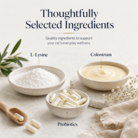 Vente en gros de friandises à mâcher molles à la lysine pour soutenir l'immunité des chats, complément alimentaire pour la santé respiratoire féline, probiotiques digestifs, 100g
