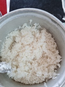 ข้าวบาสมาติญี่ปุ่นแท้ เวียดนาม แห้ง เมล็ดกลาง เนื้อนุ่ม ตรา Best Choice รุ่น South Mekong ปี 2023 +84 358211696 - Product Image 4