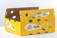 Emballage en carton ondulé de qualité supérieure avec logo personnalisé imprimé, disponible en gros pour le marché