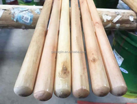 Manche de balai en bois peint de haute qualité avec poils doux, design portable, écologique et durable