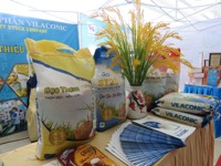 Riz Jasmin 6,8 mm à Grains Longs Parfumés Couleur Naturelle 5% Max d'Impuretés Non-Basmati Riz Au Jasmin Sac de 5kg 10kg 25kg Marque Acheteur / ANNA DO