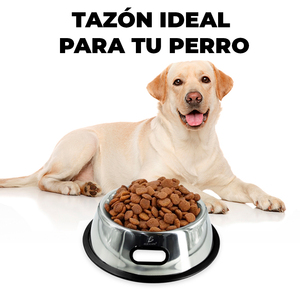 Ciotola Rotonda in Acciaio Inox per Animali Domestici, Design Antiscivolo con Funzione Anti-Perdita, Distributore Automatico di Cibo e Acqua - Product Image 5