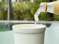 6 Flessen Kant-en-klare Palmnectar Drank met Palmvruchten Topping Premium Tropische Drank voor Cafés en Restaurants