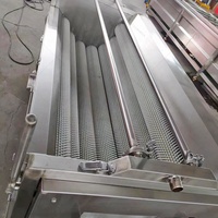 Laveuse-éplucheuse automatique de gingembre, ail et pommes de terre pour nettoyage à sec, à vendre