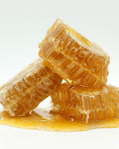 PREMIUM ORGANIC HONEYCOMB FROM VIETNAM - Product Image 1