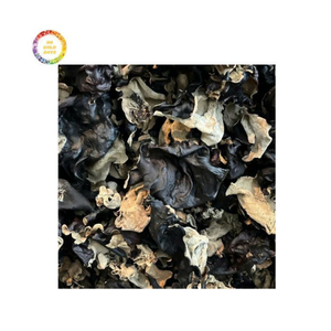 เครื่องอบแห้งแบบแห้งอัดเม็ดทำจากเชื้อราดำธรรมชาติ - Product Image 3