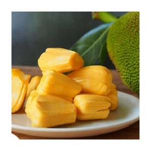 Pulpe de jacquier congelée IQF du Vietnam Fruit tropical naturel et délicieux idéal pour le traitement de la crème glacée et les recettes végétaliennes - Product Image 2
