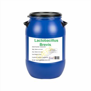 Polvo de Lactobacillus Brevis en su Forma Original - Product Image 1