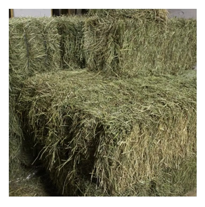 Heno de Alfalfa Natural a Granel, Heno de Alfalfa Fresco Empacado, Alto Contenido de Fibra y Proteína, Ideal para el Crecimiento Saludable de Animales - Product Image 5