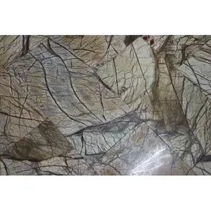 Carrelage en pierre naturelle Rainforest Brown 12x24 de 180 pieds carrés pour remodelage de murs intérieurs et extérieurs Function-T-100 de briques réfractaires - Product Image 1