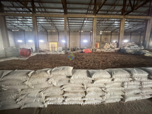 Gomme arabique d'acacia de haute qualité par Rikaz Additif alimentaire naturel pour applications agricoles - Product Image 6