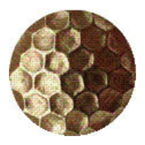 Bullette Martellate 10 mm Ottonate (pz.1.000) - Product Image 1