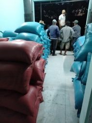 เมล็ด Coix ที่เก็บของแบบแห้ง Binh Thuan เวียดนามอายุการเก็บรักษา12เดือน VSF_CS_002การเกษตรจำนวนมาก - Product Image 5