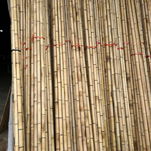 Venta al por mayor de caña de bambú Premium, bambú natural ecológico, alta calidad, proveedor de fábrica de Vietnam, exportación directa - Product Image 1