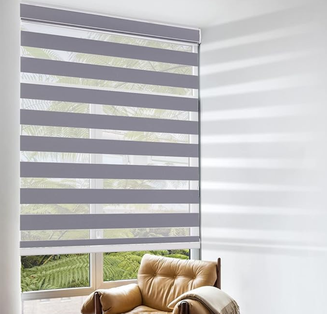 Luxury Alexa Wifi Motorized  Double Layer Blackout Electric Day and Night zebra Roller Blinds Window for Home Smart zebra Blinds