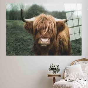 Impresión en Lienzo de Vaca Highland: Elegante Arte de Pared con Animales de Granja, Arte en Vidrio Templado - Product Image 1