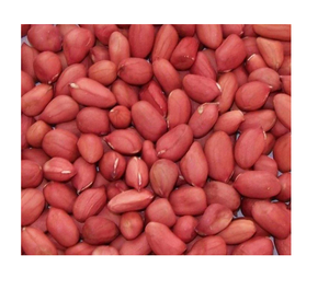 Compre granos de maní de piel roja premium a la venta, precios asequibles, descuentos a granel disponibles, perfectos para recetas saludables - Product Image 4