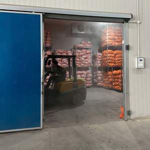 Vietnam Carottes et légumes frais biologiques Goût sucré Livraison rapide avec un excellent service client Vente en gros - Product Image 5