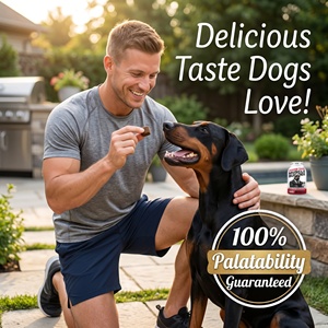 Friandises à Mâcher Molles pour Chiens Marque Blanche – Gainer Musculaire – Vente en Gros Usine – Supplément Énergétique pour Animaux à Haute Teneur en Protéines – Soutien <span class=keywords><strong>Bully</strong></span> <span class=keywords><strong>Max</strong></span> - Product Image 3