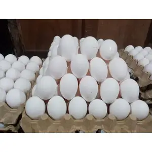 Fresh Chicken Eggs/ Fresh Farm Chicken Table Eggs/Fresh Chicken wholesale