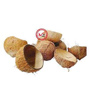 Cuencos Ovalados de Cáscara de Coco Cruda |   Tazón de Comedor Hecho a Mano Natural |   Vajilla Sostenible al por Mayor - Product Image 1