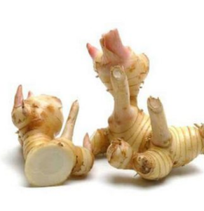 Ms Hana-bolsa de vacío de calidad superb, galangal/ Alpinia officinarum, venta al por mayor - Product Image 2