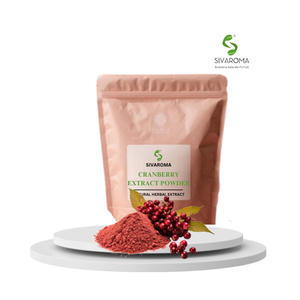 Polvo de extracto seco de fruta de arándano de grado premium para aplicaciones de alimentos, bebidas y nutracéuticas Suministro de exportación a granel - Product Image 1