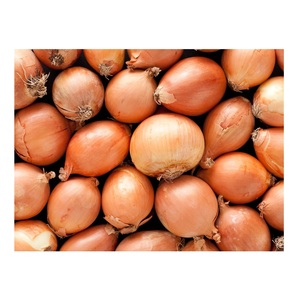 Cebollas Rojas Frescas Orgánicas de Portugal en Oferta - Product Image 6