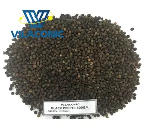 Directe Fabriek Vietnamese Zwarte Peper 500G/L, 550G/L, 600G/L Faq Schone Kwaliteit Groothandel-Ms.Sophie + 84969732947