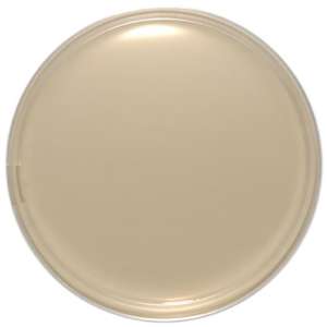 EO Labs Columbia Agar Bouteilles de laboratoire 10X90mm Plaques PK10 MED1164 - Product Image 1