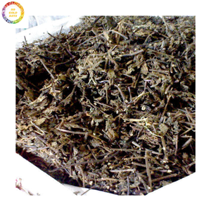 Gelée d'herbe du Vietnam de qualité supérieure-Feuilles de gelée noire aux herbes exportation en gros pour la distribution mondiale - Product Image 6