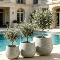 Pot de fleurs en ciment léger et durable de style nordique, rond, écologique, sculpté à la main, pour l'extérieur/l'intérieur, pour le jardin, la terrasse