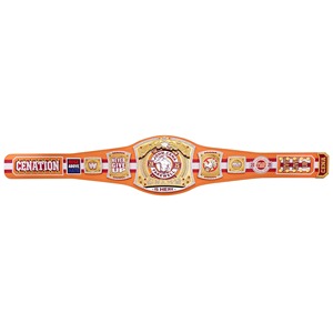 WWE Championship Ceinture Jouet Personnalisable De Luxe Médaille En Métal Matériel Réglable Lutte Boxe Ceinture Or En Gros Ronpex - Product Image 4