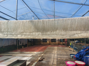 Bánh tráng cuốn chả giò cao cấp Việt Nam, đóng gói dạng túi, hạn sử dụng 12 tháng, nhà cung cấp bán buôn OEM/ODM - Product Image 4