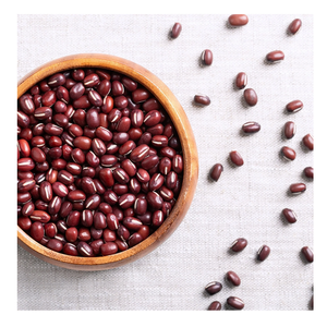 Haricots adzuki/haricots rouges (nouvelle récolte, origine belge, polis) - Product Image 6